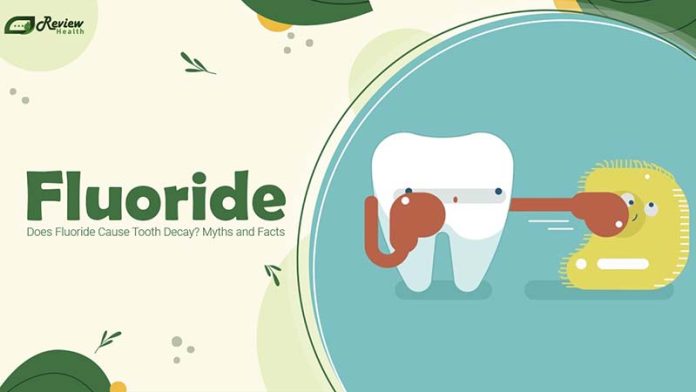 Does Fluoride Cause Tooth Decay? Understanding the Role of Fluoride in Preventing Cavities